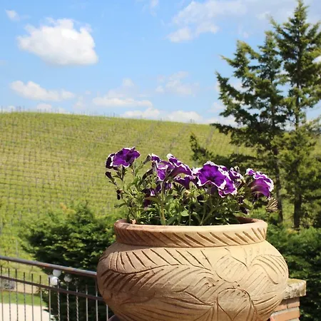 La Querciolana - Agriturismo