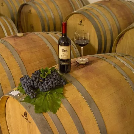 La Querciolana - Agriturismo Panicale